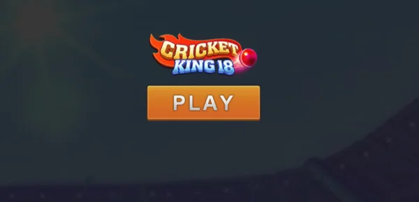 Những tính năng nổi bật trong game Cricket King 18 là gì?