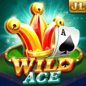 Slot Game Wild Ace